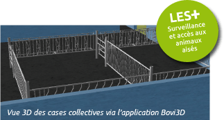 Il a été inventé et conçu en collaboration avec des spécialistes en bâtiment d’élevage pour assurer la bonne santé des veaux. Vue 3D des cases collectives via Bovi3D