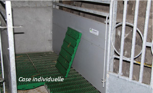 Il a été inventé et conçu en collaboration avec des spécialistes en bâtiment d’élevage pour assurer la bonne santé des veaux. Visuel case individuelle