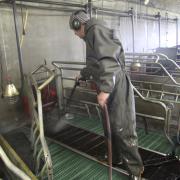 Nettoyage haute pression des caillebotis au Gaec du Breuil nettoyeur HP Hydroclean