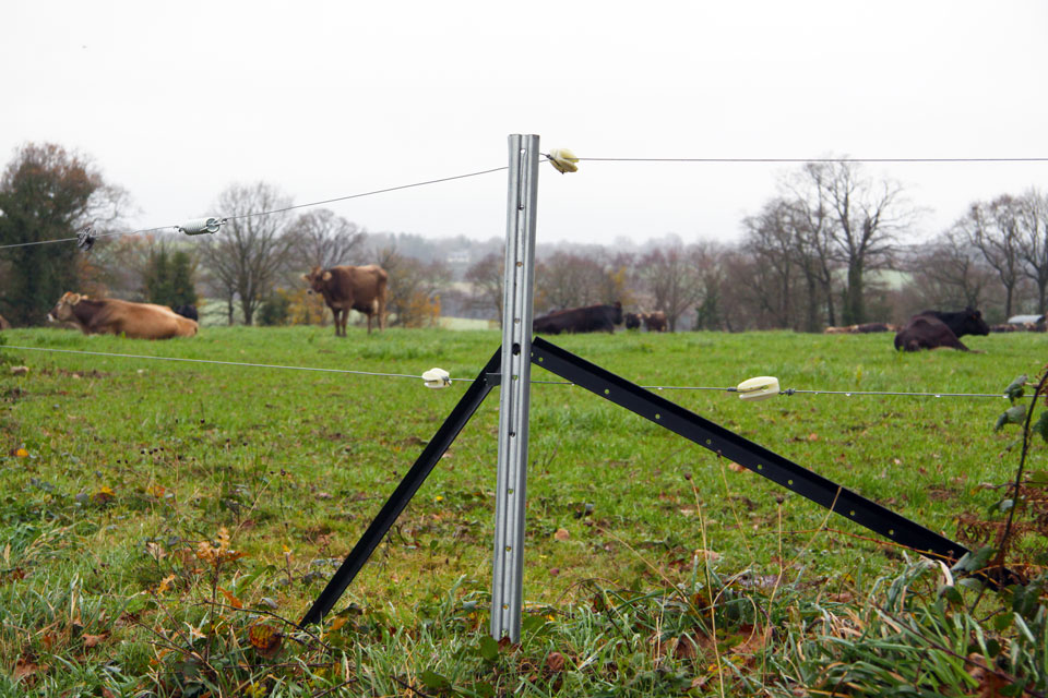 Cloture électrique pour élévage résistance jusqu'à 600kg en rupture