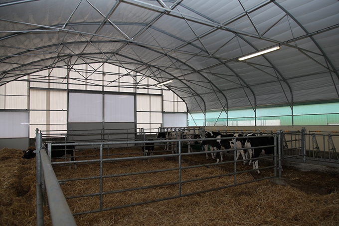 Des tunnels existent aussi pour l’élevage comme cette nursery montée avec Cultivert en 2013.