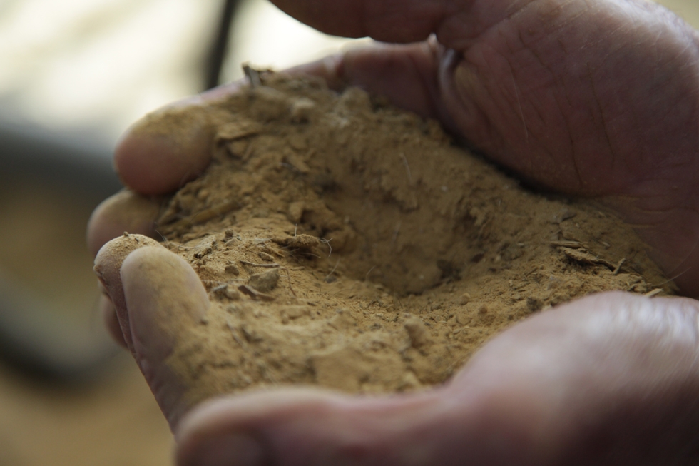 La dolomie du Poitou est un sable doux doté d’une grande capacité d’absorption de l’humidité, ce qui en fait une litière très agréable pour la vache.