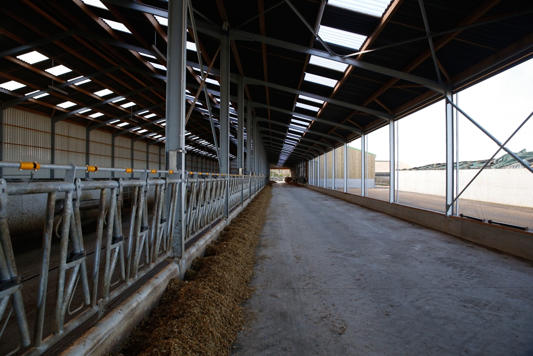 Le nouveau bâtiment bovin compte 150 places de cornadis -Cultivert