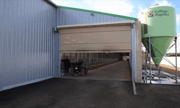 Un nouveau bâtiment de 150 vaches pour 1 UTH