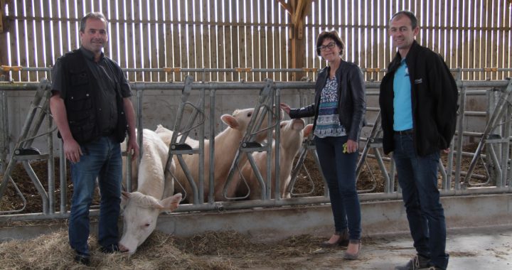 atelier bovin viande