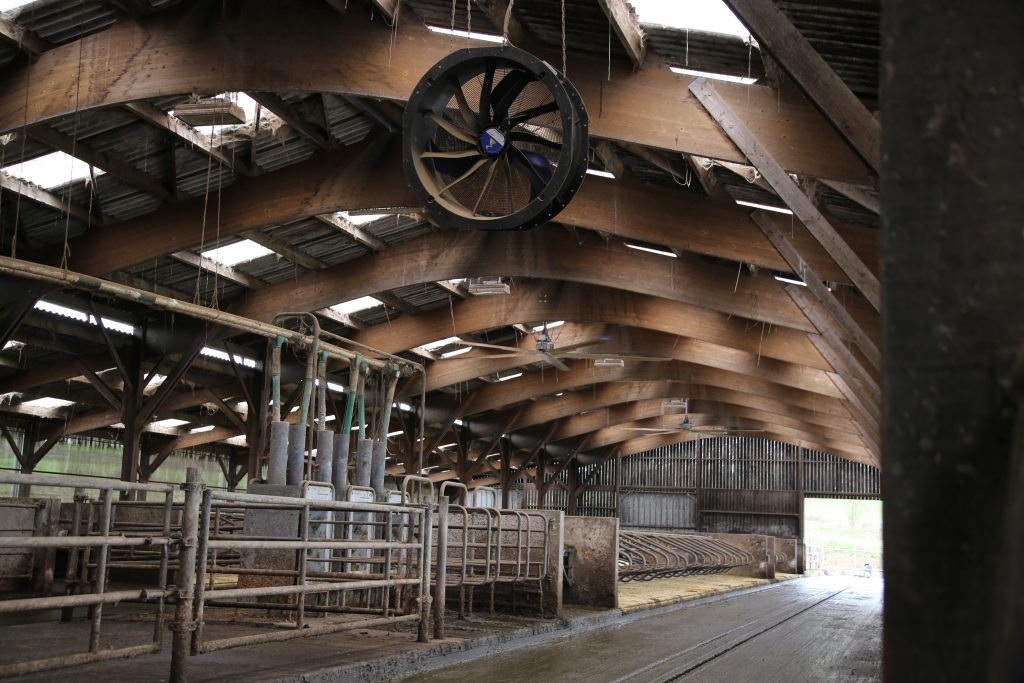 Nicolas Chesnin du Gaec Moulin du Couedic a installé deux ventilateurs hélicoptères au-dessus de ses logettes pour améliorer la ventilation de son bâtiment lors des coups de chaud.